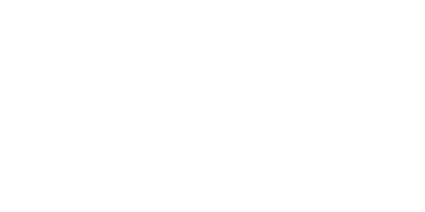 Adobe Partner Logo