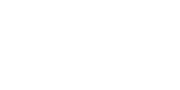 AWS Partner Logo